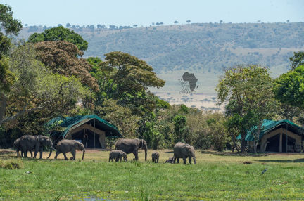 Maasai Mara Family Vaccations 