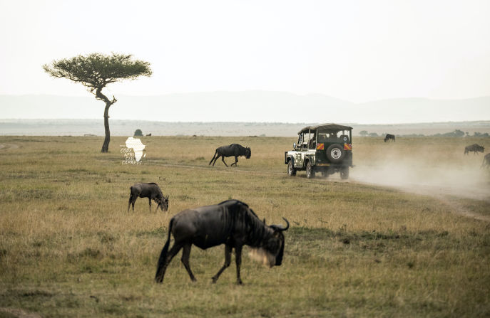 tour packages for companies and institutions