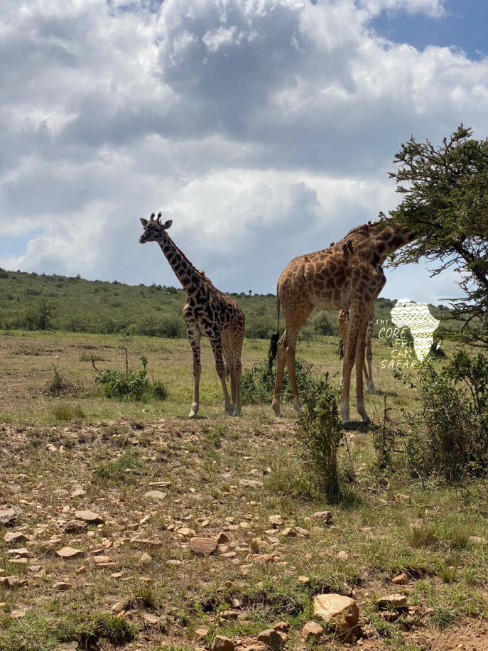 Adventure tour packages