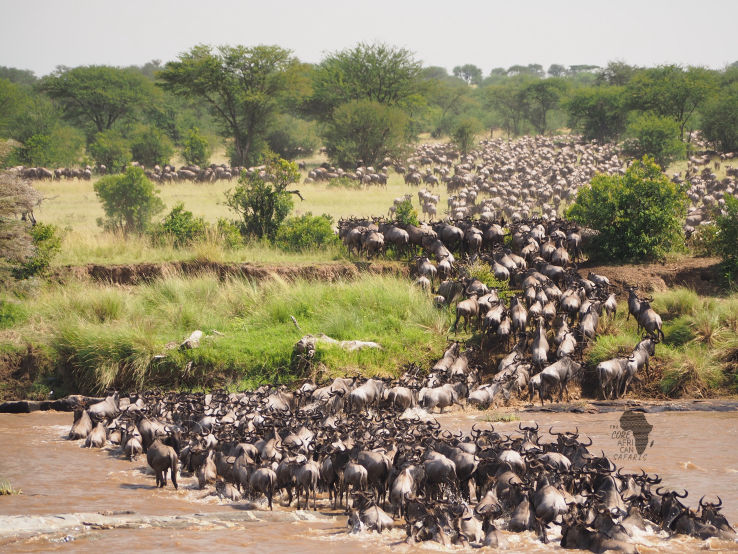 8th  wonder of the modern world